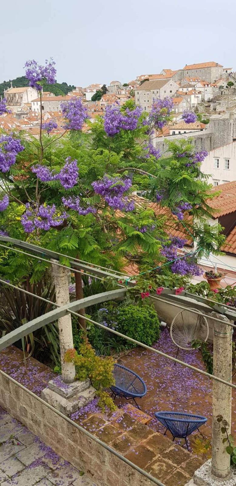 Villa Ani Apartment Ariel ドゥブロブニク エクステリア 写真